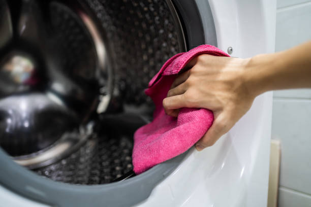 Best Mold Damage Restoration  in Mount Hore, WI