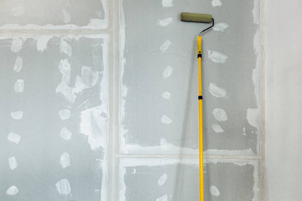 Best Commercial Mold Inspection  in Mount Hore, WI